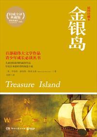 金银岛原著
