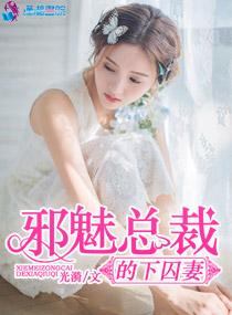 邪魅总裁的小宠妻全文免费阅读