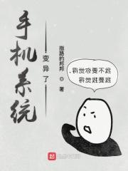 手机出现系统异常