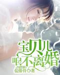 宝贝儿咱不离婚TXT笔趣阁
