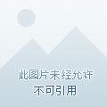 诡秘善魔女 囧囧哟