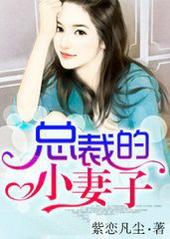 总裁的小总裁的小妻子