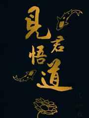 见君是什么电视剧