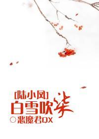 白风雪陆叶