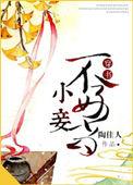 小妾不好当免费阅读