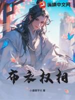 布衣权贵全文阅读