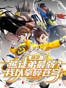 武道熊师 6v