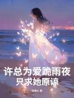 许总是谁