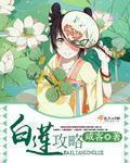 白莲花攻略手册