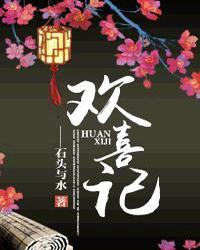 欢喜记TXT电子书