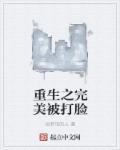 重生之完美被打脸百度百科