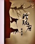 玲珑月结局是什么