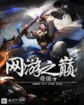 网游之巅峰传说免费阅读