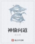 问道手游小偷怎么打