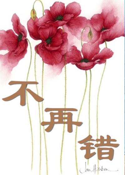 不再错过沈清欢余烬