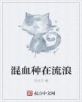 混血种族