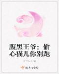 腹黑王爷别乱来有没有