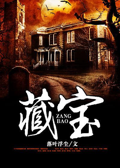 藏宝阁oppo渠道版