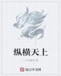 纵横天下的意思是什么意思