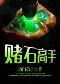 赌石高手双修猎美高手