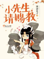小先生全文免费阅读无弹窗