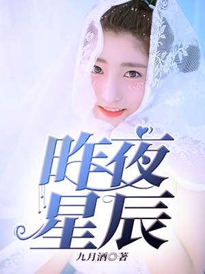 昨夜星辰的歌词
