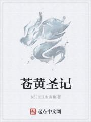 苍穹榜之圣灵纪