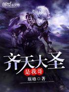 齐天大圣是我兄弟