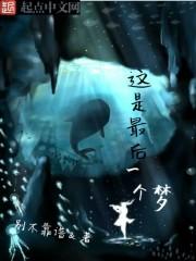 歌曲最后一个梦简介