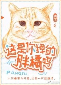 这是你养的胖橘吗